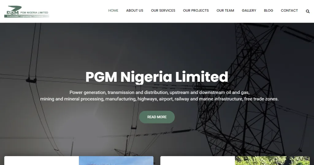PGM Nigeria Limited portfolio project